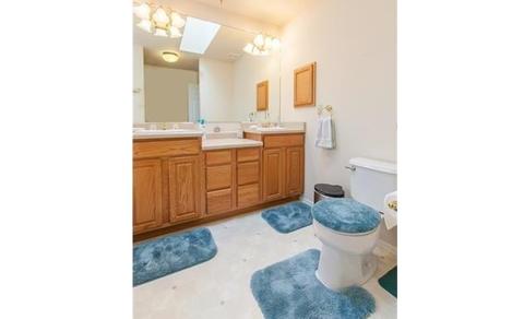 1038 Bowstring Rd, Monument, CO 80132 photo 13