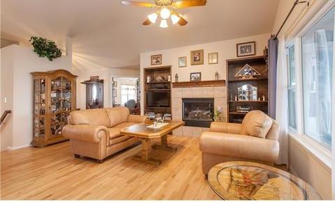1038 Bowstring Rd, Monument, CO 80132 photo 3