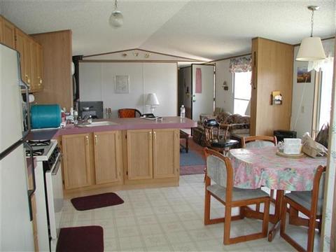 830 Hawk Way, Como, CO 80432 photo 5