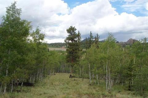 830 Hawk Way, Como, CO 80432 photo 1