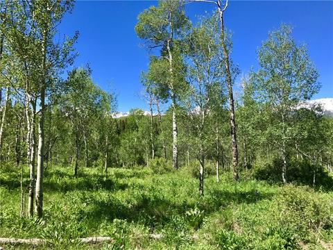 2176 Rodeo Dr, Silverthorne, CO 80498 photo 12