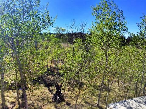 538 Kiowa St, Como, CO 80432 photo 5