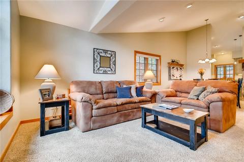 246 E Coyote Ct, Silverthorne, CO 80498 photo 5