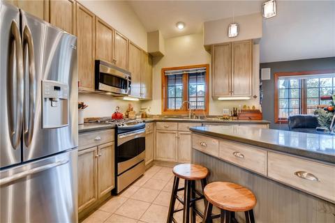 246 E Coyote Ct, Silverthorne, CO 80498 photo 8