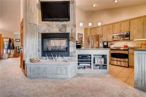 246 E Coyote Ct, Silverthorne, CO 80498 photo 19