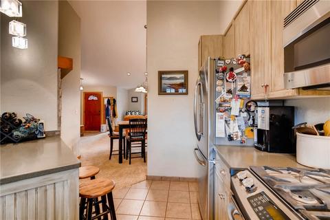 246 E Coyote Ct, Silverthorne, CO 80498 photo 11