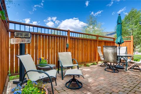 246 E Coyote Ct, Silverthorne, CO 80498 photo 20