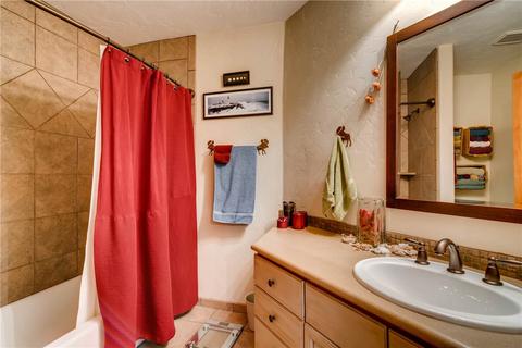 246 E Coyote Ct, Silverthorne, CO 80498 photo 17
