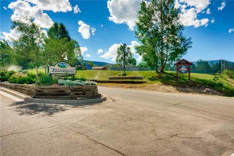 246 E Coyote Ct, Silverthorne, CO 80498 photo 24