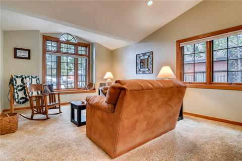 246 E Coyote Ct, Silverthorne, CO 80498 photo 6