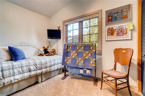246 E Coyote Ct, Silverthorne, CO 80498 photo 15
