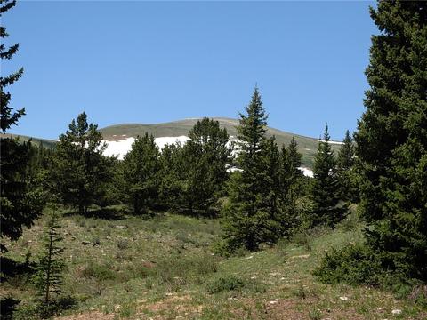 1360 Zebulon St, Fairplay, CO 80440 photo 23