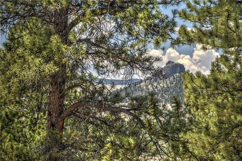 402 Willow Ct, Jefferson, CO 80456 photo 5