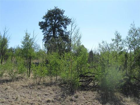 2800 Warrior Cir, Como, CO 80432 photo 5