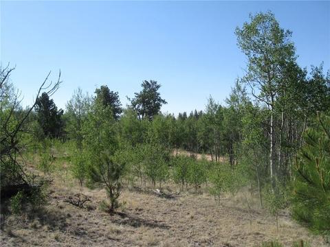 2800 Warrior Cir, Como, CO 80432 photo 4
