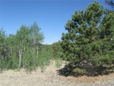 2800 Warrior Cir, Como, CO 80432 photo 1