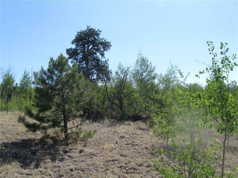 2800 Warrior Cir, Como, CO 80432 photo 2