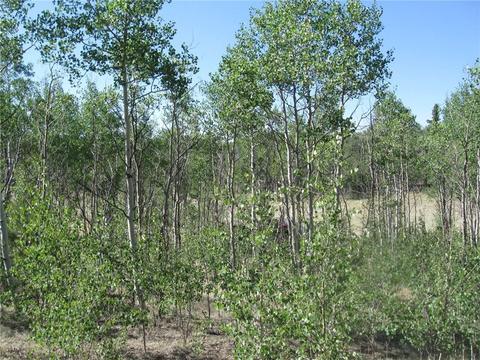 2800 Warrior Cir, Como, CO 80432 photo 3