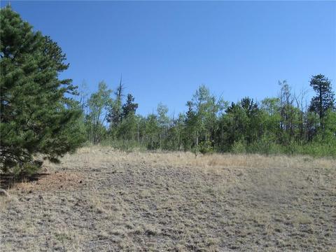 2800 Warrior Cir, Como, CO 80432 photo 6
