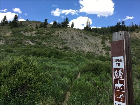 37 Spinner Pl, Silverthorne, CO 80497 photo 25