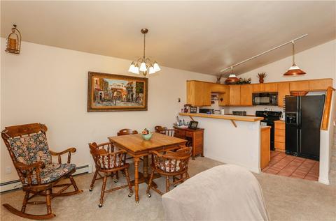 1180 Mesa Dr, Silverthorne, CO 80498 photo 10