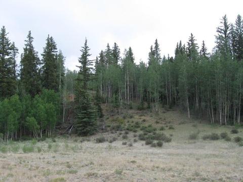 6241 Remington Rd, Como, CO 80432 photo 1