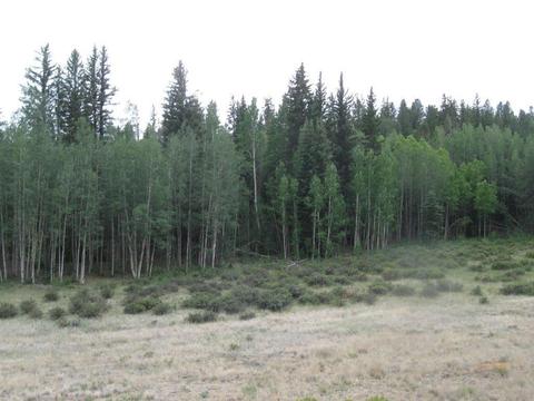 6241 Remington Rd, Como, CO 80432 photo 2