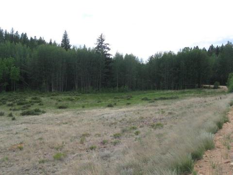 6241 Remington Rd, Como, CO 80432 photo 3