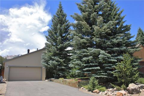 1601 N Badger Ln, Silverthorne, CO 80498 photo 24