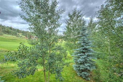 357 Kestrel Ln, Silverthorne, CO 80498 photo 17