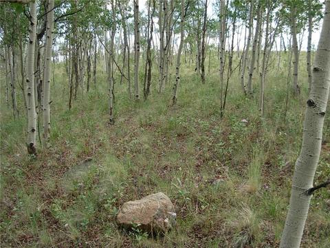 2164 Warrior Cir, Como, CO 80432 photo 11