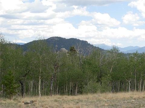 2164 Warrior Cir, Como, CO 80432 photo 14