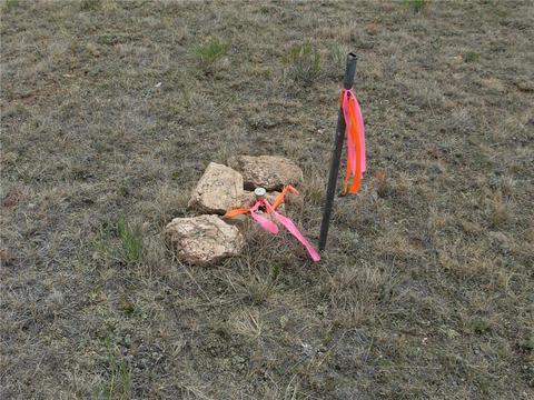 2164 Warrior Cir, Como, CO 80432 photo 2