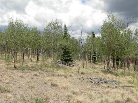 2164 Warrior Cir, Como, CO 80432 photo 3