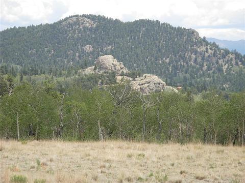 2164 Warrior Cir, Como, CO 80432 photo 1