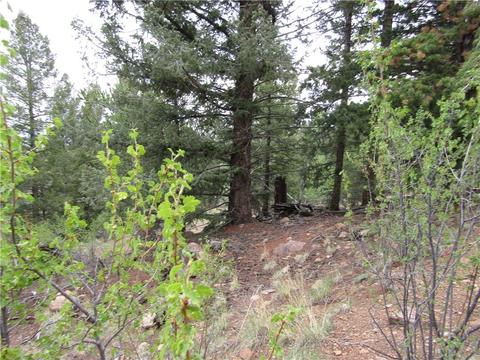 1140 Caracara Ln, Como, CO 80432 photo 14