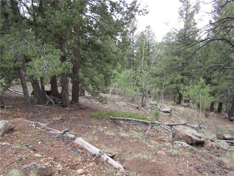 1140 Caracara Ln, Como, CO 80432 photo 21