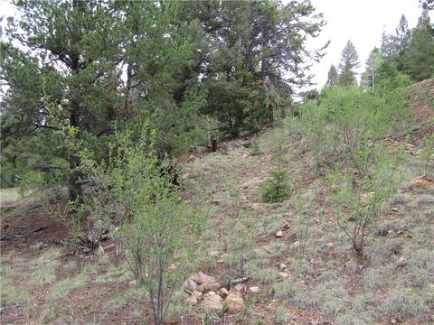 1140 Caracara Ln, Como, CO 80432 photo 16