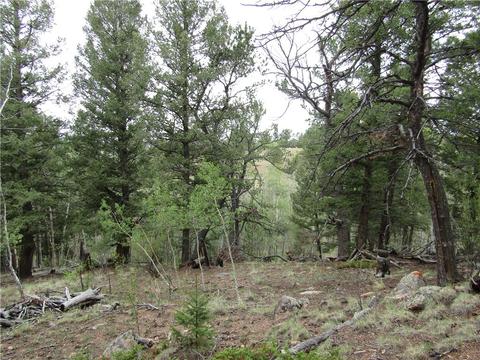 1140 Caracara Ln, Como, CO 80432 photo 25