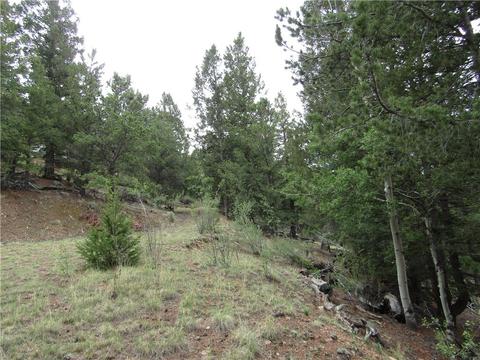 1140 Caracara Ln, Como, CO 80432 photo 23