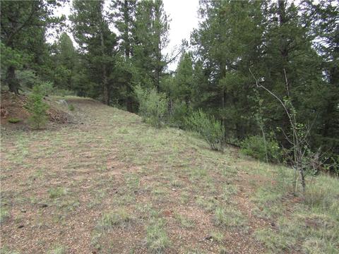 1140 Caracara Ln, Como, CO 80432 photo 20