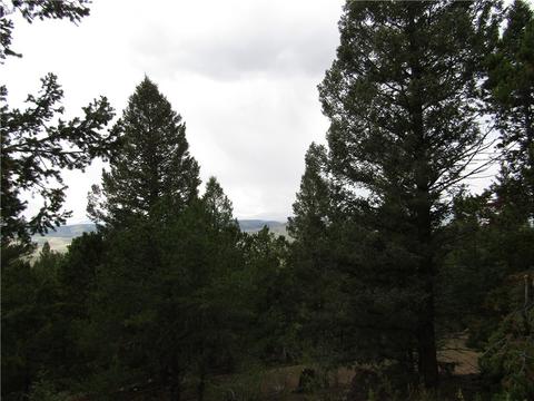 1140 Caracara Ln, Como, CO 80432 photo 11