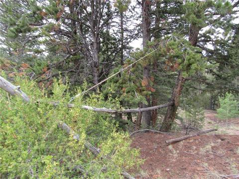 1140 Caracara Ln, Como, CO 80432 photo 12