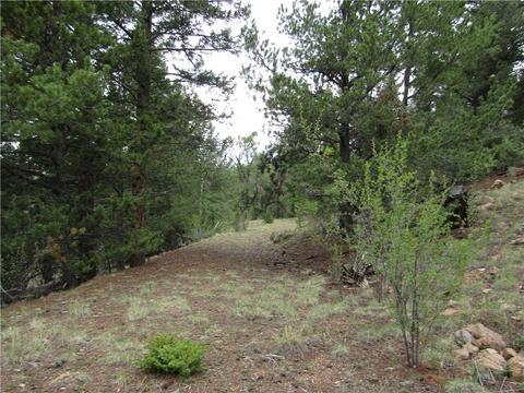 1140 Caracara Ln, Como, CO 80432 photo 15