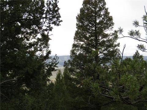 1140 Caracara Ln, Como, CO 80432 photo 9