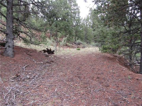1140 Caracara Ln, Como, CO 80432 photo 17