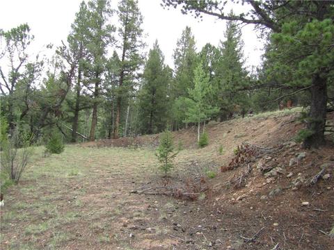 1140 Caracara Ln, Como, CO 80432 photo 19