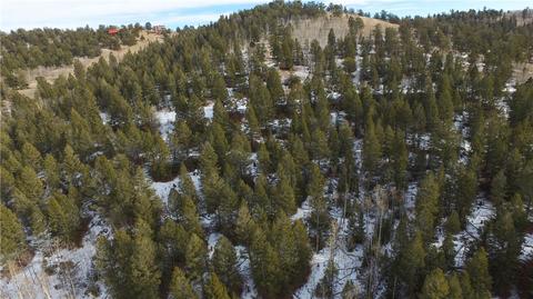 1140 Caracara Ln, Como, CO 80432 photo 6