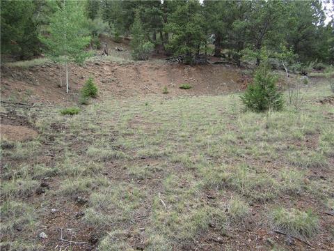 1140 Caracara Ln, Como, CO 80432 photo 22