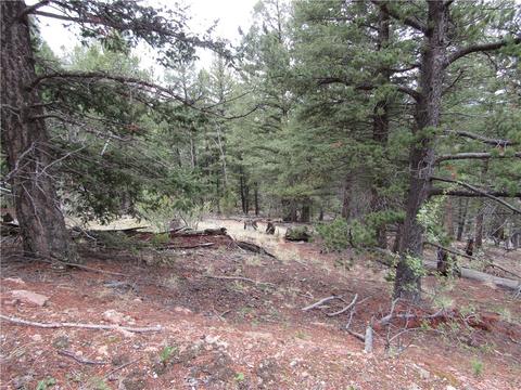 1140 Caracara Ln, Como, CO 80432 photo 18